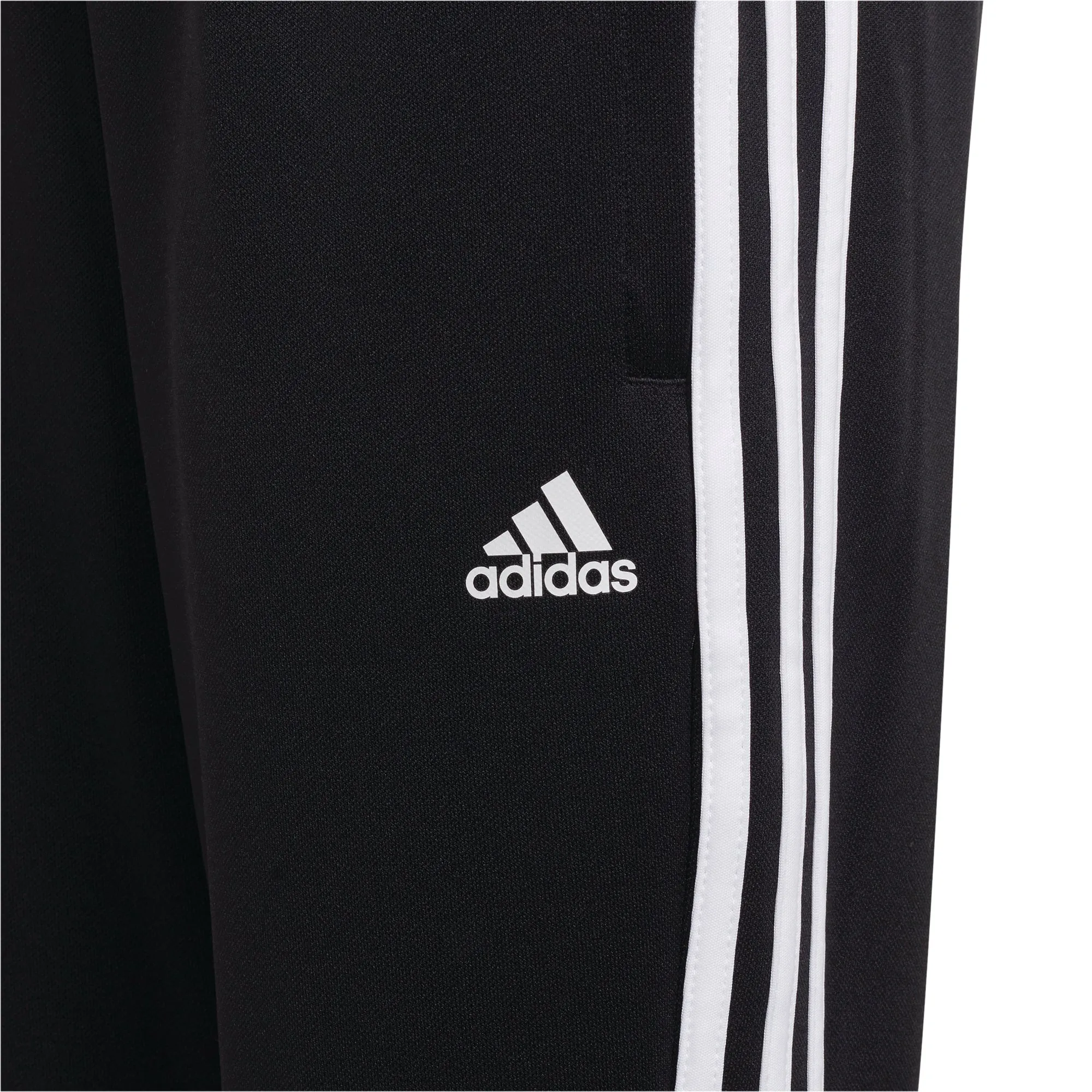 Boy's Adidas Sere Sweat Pant