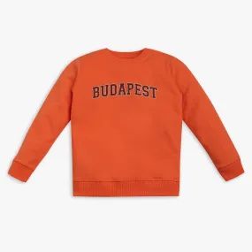 Boy's Regular Fit Printed Sweat Tees