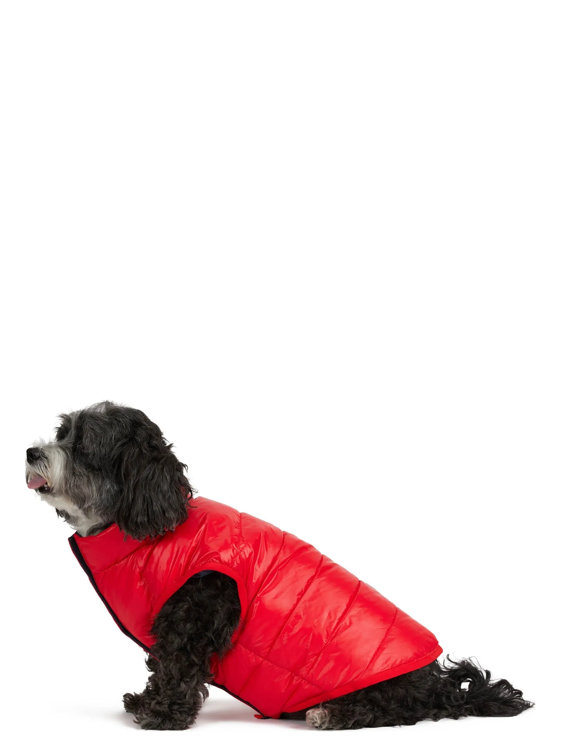 Cora Reversible Packable Puffer for Dogs