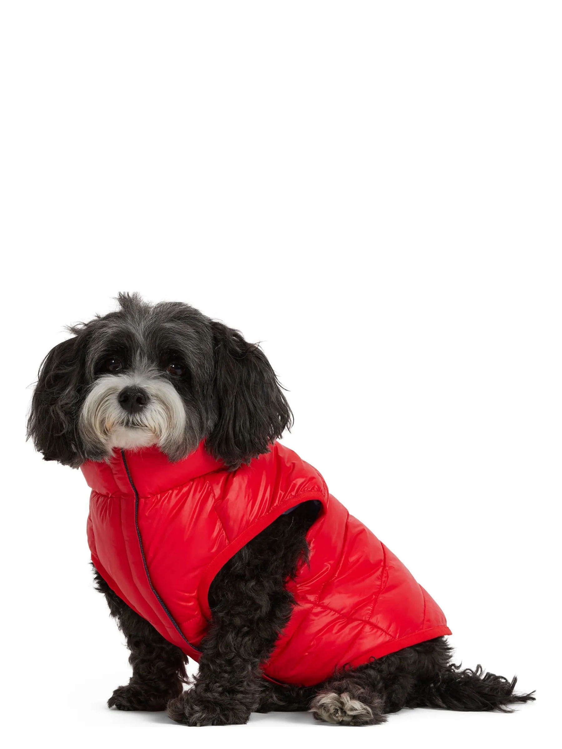 Cora Reversible Packable Puffer for Dogs