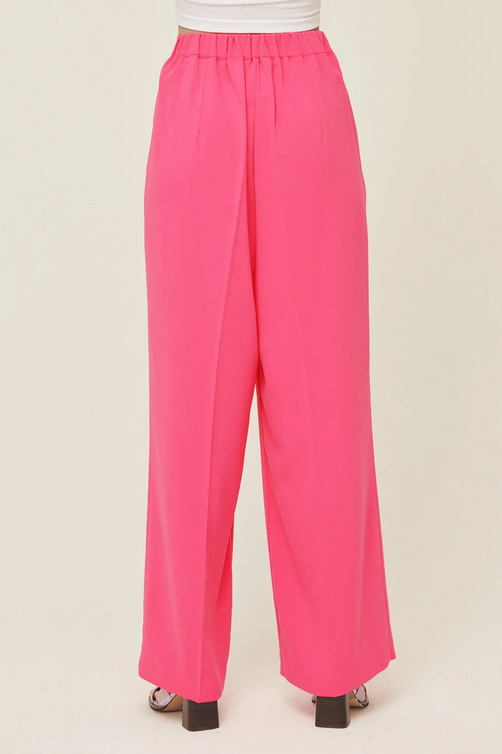 Jania High Wide Leg Pants