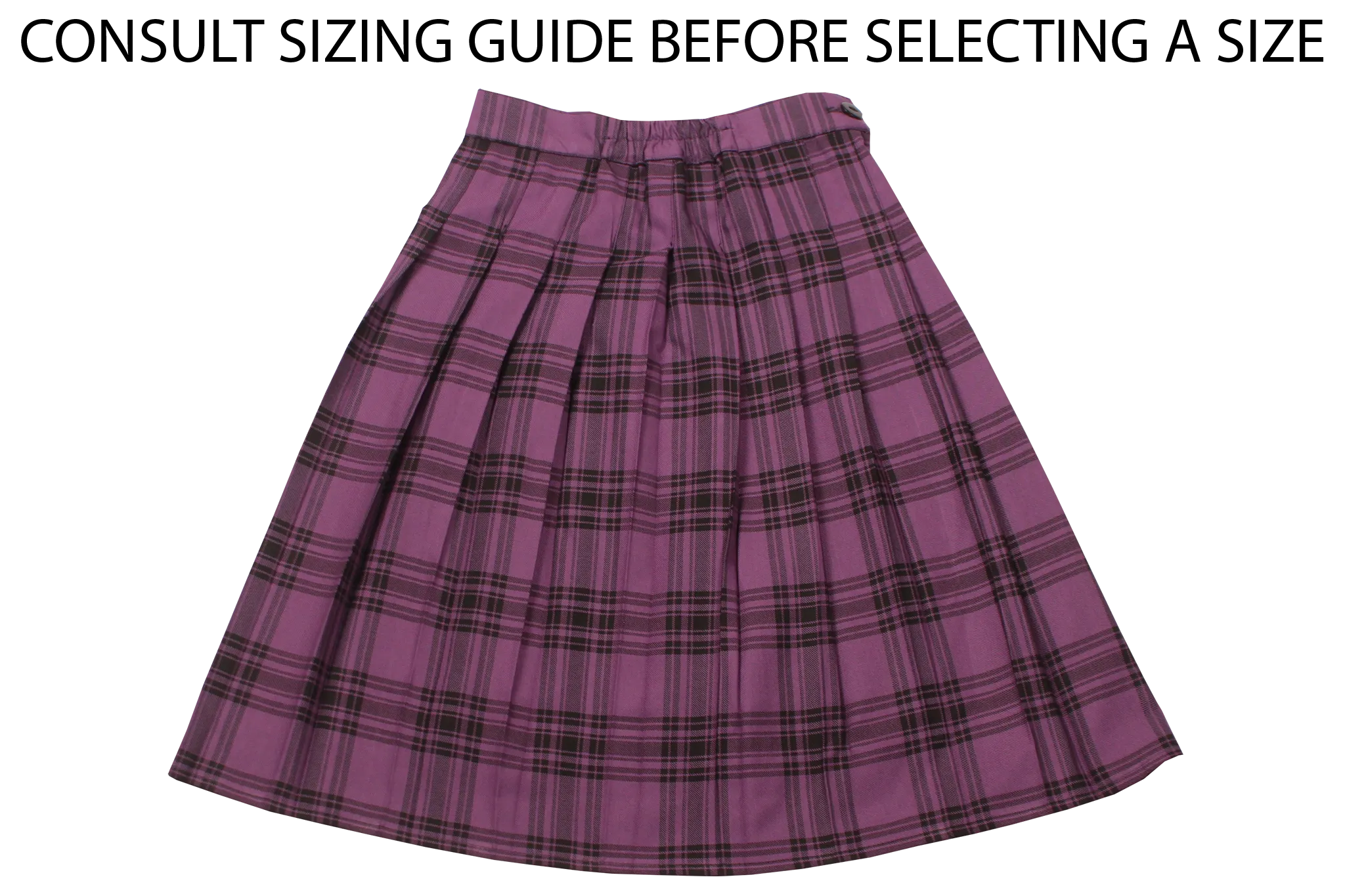 Pleated Skirt - Star College High School