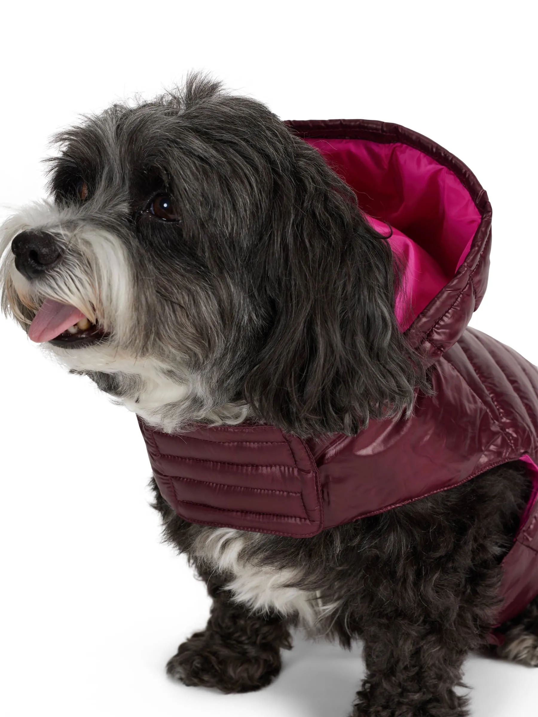 Seymour Lightweight Puffer for Dogs